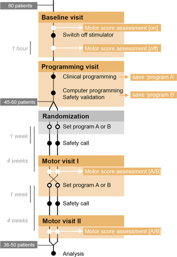 DIPS (Dystonia Image-based Programming of Stimulation: a prospective, randomized, double-blind crossover trial).