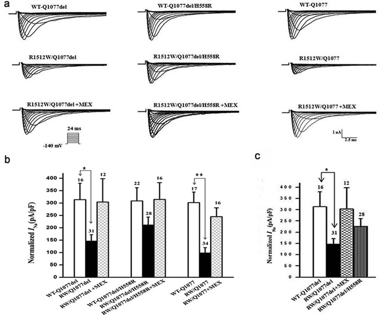 Expression defect of the rare variant/Brugada mutation R1512W depends upon the SCN5A splice variant background and can be rescued by mexiletine and the common polymorphism H558R.