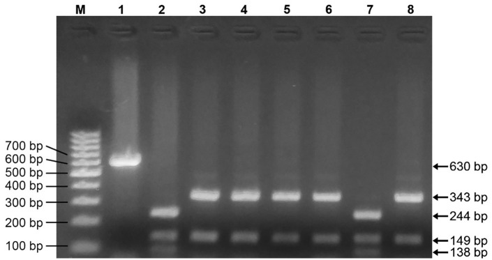 Antimicrobial Resistance in <i>Salmonella</i> Typhi Isolated From a Referral Hospital of Kathmandu, Nepal.