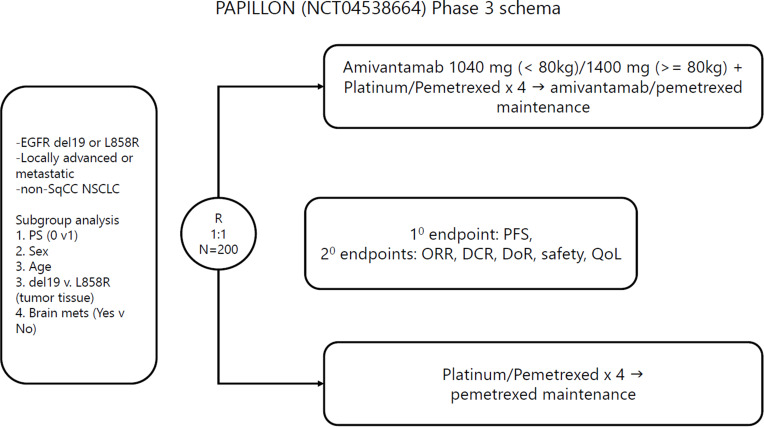 Spotlight on Amivantamab (JNJ-61186372) for EGFR Exon 20 Insertions Positive Non-Small Cell Lung Cancer.