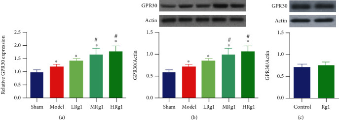 Ginsenoside Rg1 Prevents Cognitive Impairment and Hippocampal Neuronal Apoptosis in Experimental Vascular Dementia Mice by Promoting GPR30 Expression.