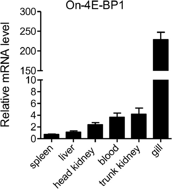 Essential role of 4E-BP1 for lymphocyte activation and proliferation in the adaptive immune response of Nile tilapia