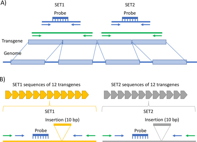 Design and storage stability of reference materials for microfluidic quantitative PCR-based equine gene doping tests.