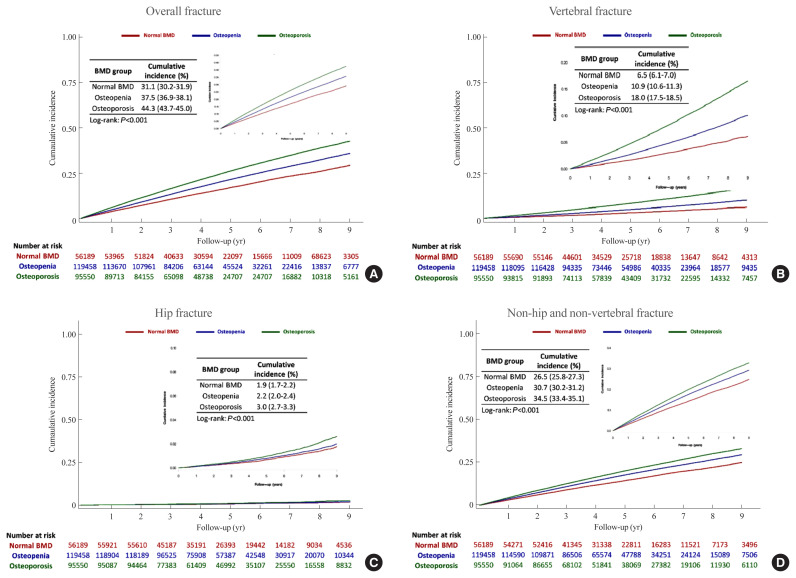 10-Year Fracture Risk in Postmenopausal Women with Osteopenia and Osteoporosis in South Korea.