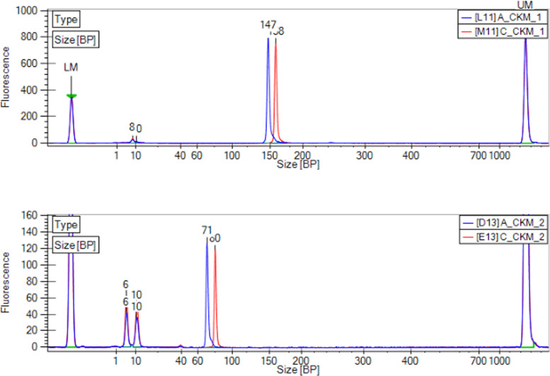 Design and storage stability of reference materials for microfluidic quantitative PCR-based equine gene doping tests.