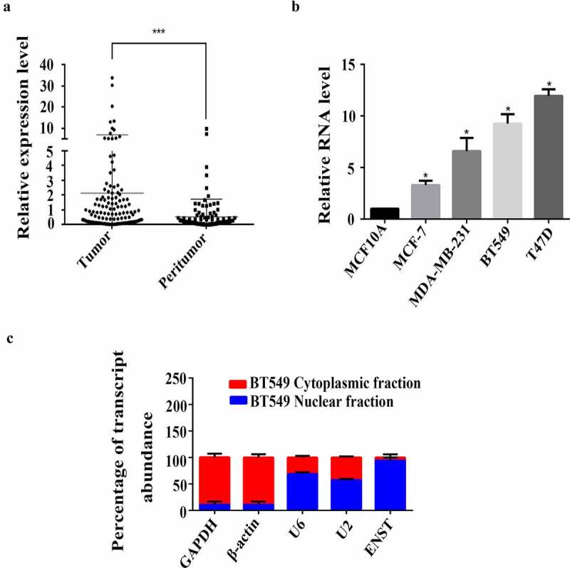 Long noncoding RNA <i>ENST00000508435</i> promotes migration of breast cancer via FXR 1.