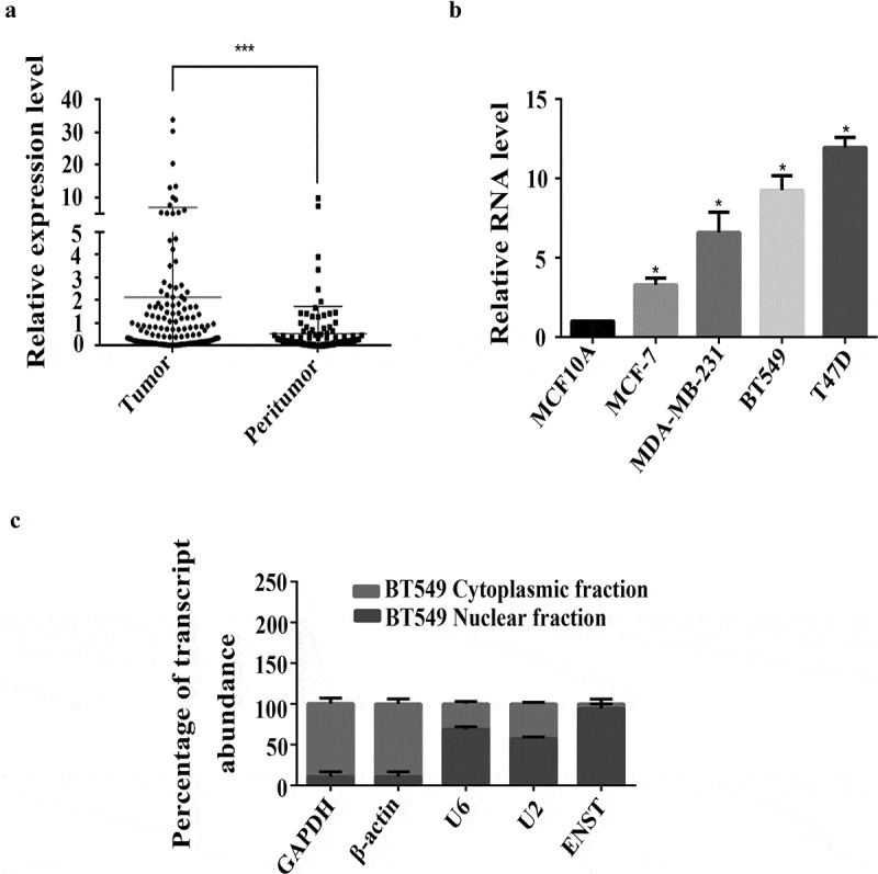 Long noncoding RNA <i>ENST00000508435</i> promotes migration of breast cancer via FXR 1.