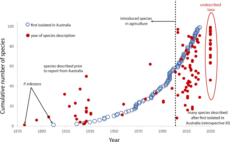 Current status of <i>Phytophthora</i> in Australia.