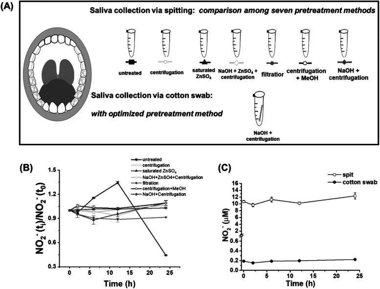 Saliva nitrite is higher in male children with autism spectrum disorder and positively correlated with serum nitrate.