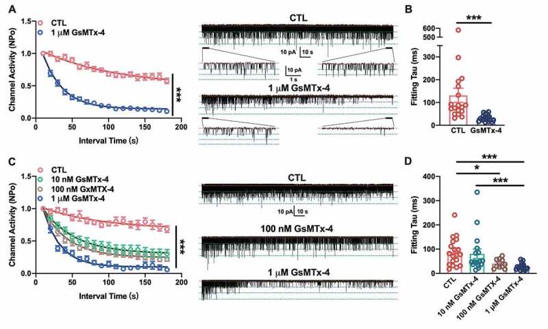 Fast desensitization of acetylcholine receptors induced by a spider toxin.