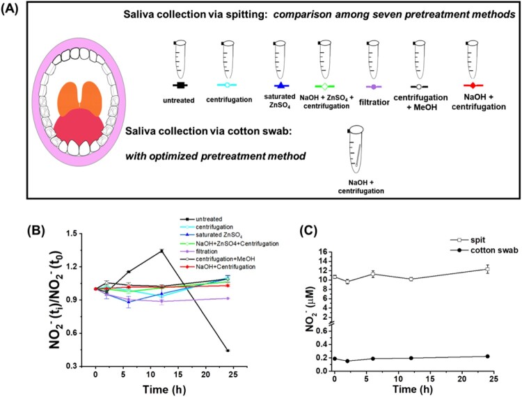 Saliva nitrite is higher in male children with autism spectrum disorder and positively correlated with serum nitrate.