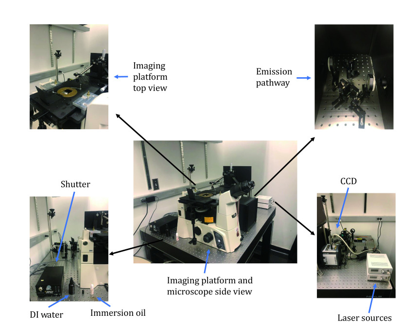 Lipid Species Dependent Vesicles Clustering Caused by alpha-Synuclein as Revealed by Single-Vesicle Imaging with Total Internal Reflection Fluorescence Microscopy.