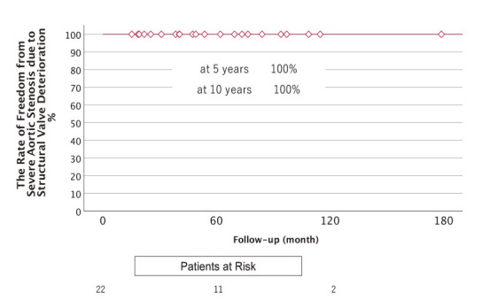 Long-term results of modified bentall procedures: 18-year experience of the flanged technique.