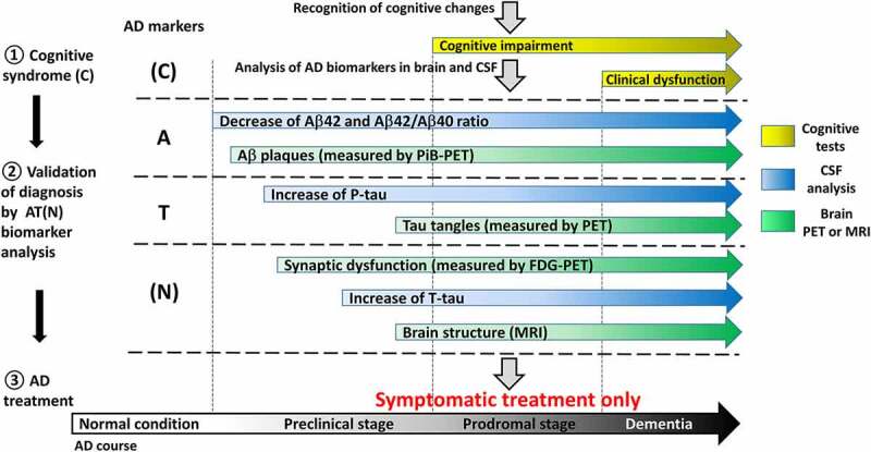 Development of molecular tools for diagnosis of Alzheimer's disease that are based on detection of amyloidogenic proteins.