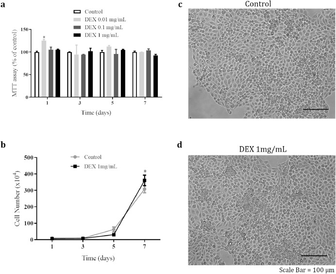 Long-term dexamethasone treatment increases the engraftment efficiency of human breast cancer cells in adult zebrafish