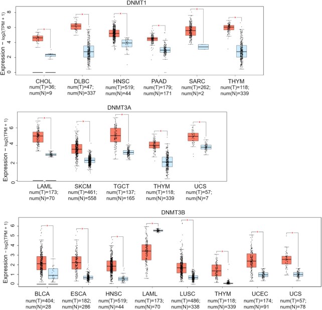 Misregulation of the expression and activity of DNA methyltransferases in cancer.