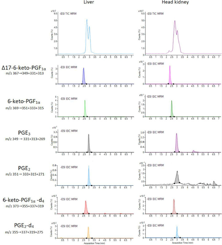 Differential production of prostaglandins and prostacyclins by liver and head kidney cells from Atlantic salmon challenged with arachidonic and eicosapentaenoic acids