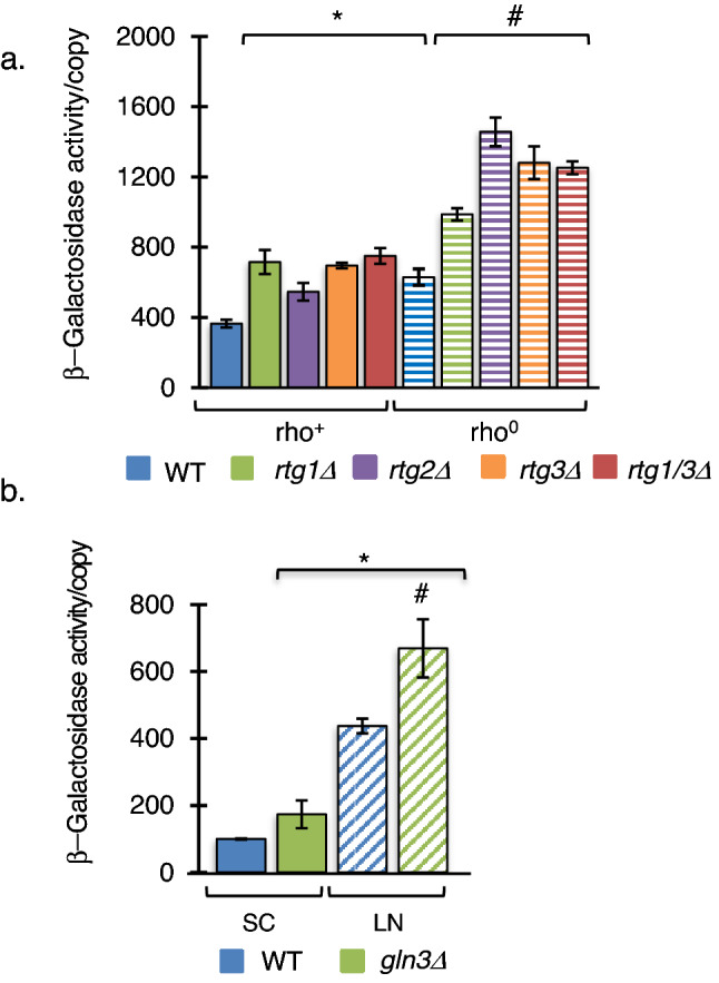 HSF1 induces RNA polymerase II synthesis of ribosomal RNA in S. cerevisiae during nitrogen deprivation.