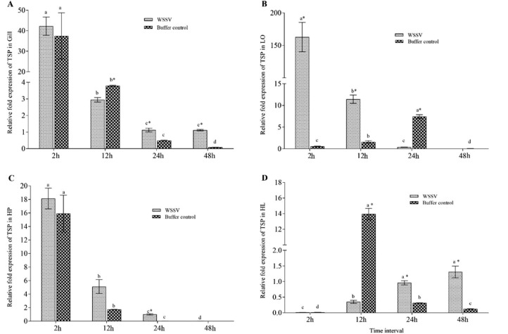 Different expression pattern of thrombospondin gene in the presence and absence of β-glucan fed Penaeus monodon challenged with white spot syndrome virus