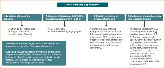 Microvascular Angina: Diagnosis and Management.