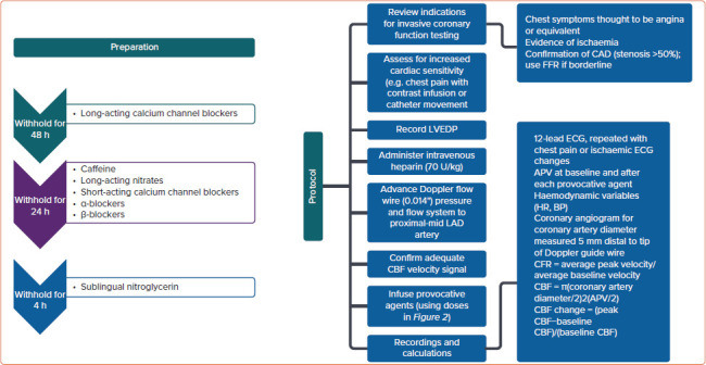 Microvascular Angina: Diagnosis and Management.