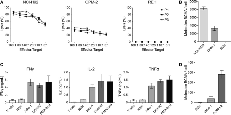 Accelerating clinical-scale production of BCMA CAR T cells with defined maturation stages.