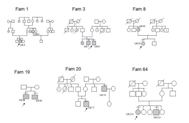 Prevalence of primary mutations in Leber hereditary optic neuropathy: A five-year report from a tertiary eye care center in India.