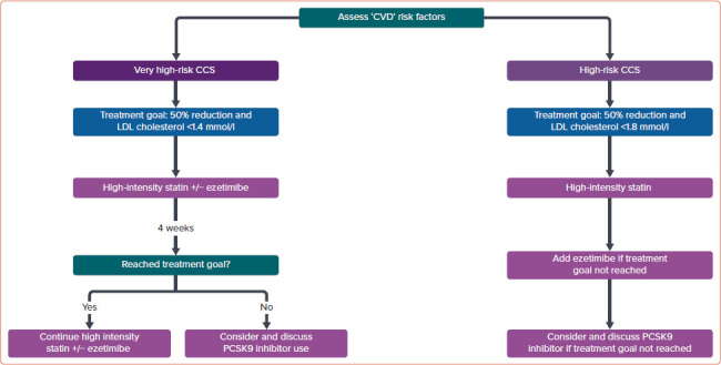 Asian Pacific Society of Cardiology Consensus Recommendations on Dyslipidaemia.