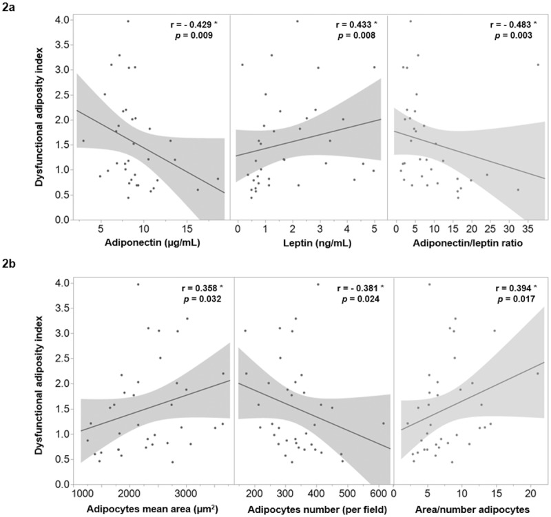 Dysfunctional adiposity index as a marker of adipose tissue morpho-functional abnormalities and metabolic disorders in apparently healthy subjects.