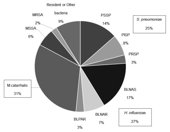 Clinical course and background of nasopharyngeal antibiotic-resistant bacteria carriers among preschool children hospitalized for lower respiratory tract infection.