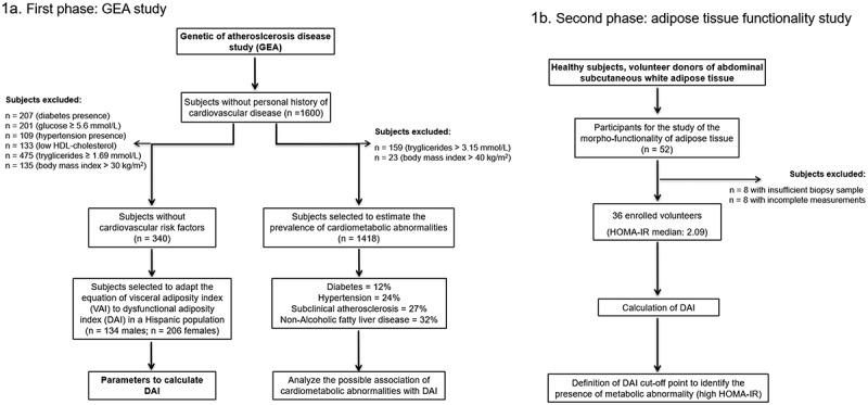 Dysfunctional adiposity index as a marker of adipose tissue morpho-functional abnormalities and metabolic disorders in apparently healthy subjects.