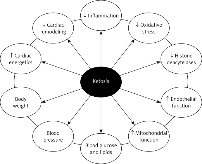 Ketone bodies and the heart.