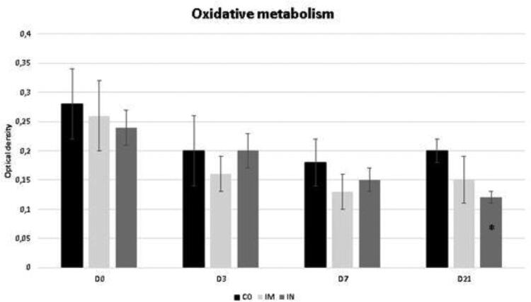 The effect of bovine vaccines against respiratory viruses administered either intranasal or intramuscular on broncho-alveolar fluid cells of heifers.