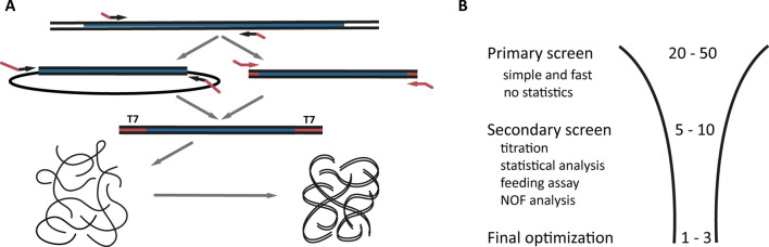 Establishing RNAi for basic research and pest control and identification of the most efficient target genes for pest control: a brief guide.