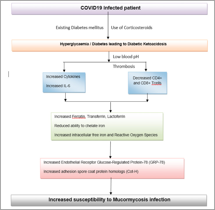 The rise in cases of mucormycosis, candidiasis and aspergillosis amidst COVID19