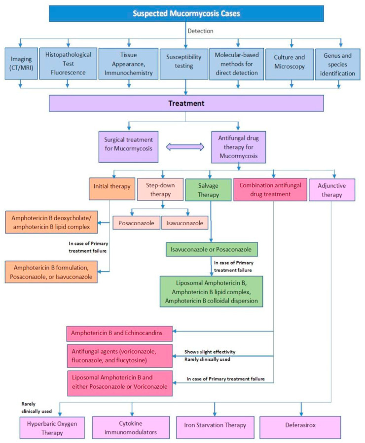 The rise in cases of mucormycosis, candidiasis and aspergillosis amidst COVID19