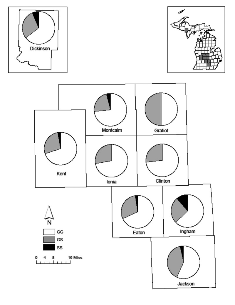 Prion protein polymorphisms in Michigan white-tailed deer (<i>Odocoileus virginianus</i>).