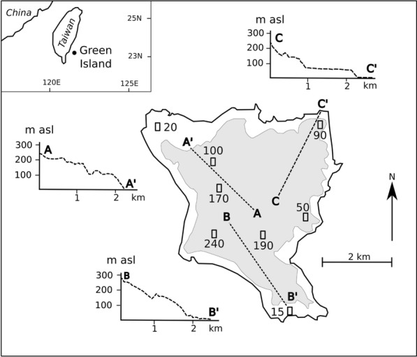 Sequestration of P fractions in the soils of an incipient ferralisation chronosequence on a humid tropical volcanic island.