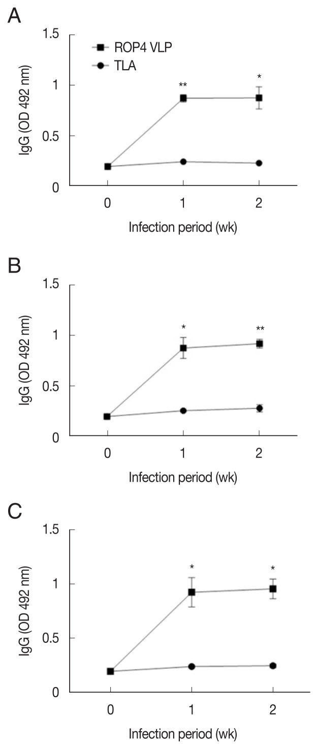 Detection of Toxoplasma gondii Infections using Virus-Like Particles Displaying T. gondii ROP4 Antigen.