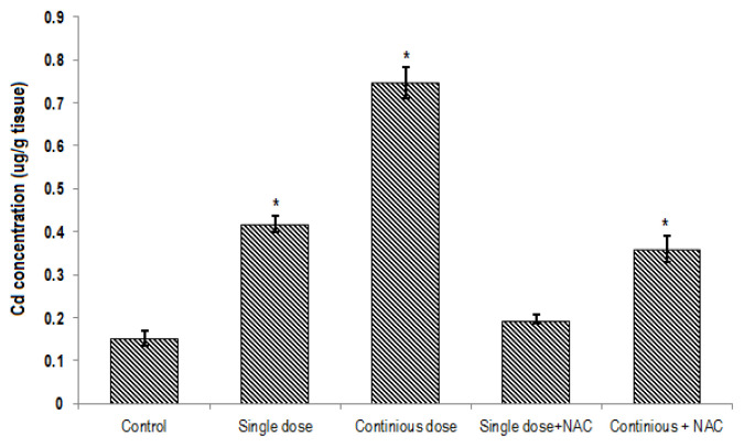 N-Acetyl cysteine mitigates histopathological changes and inflammatory genes expressions in the liver of cadmium exposed rats.