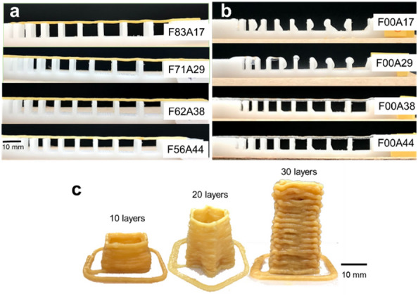 Extrusion-based additive manufacturing of fungal-based composite materials using the tinder fungus Fomes fomentarius.