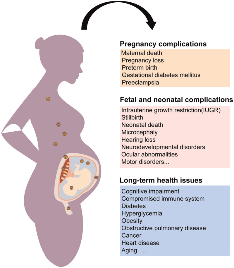 Viral Infections During Pregnancy: The Big Challenge Threatening Maternal and Fetal Health.