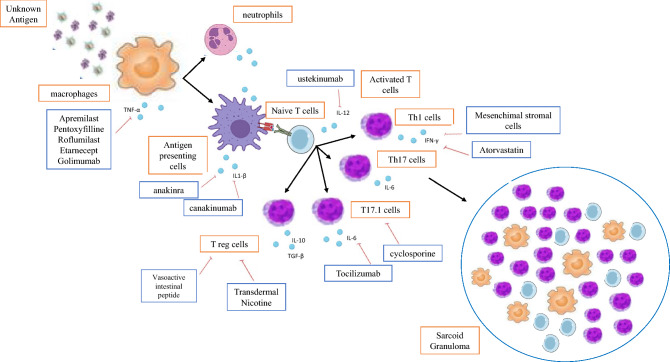 A Comprehensive Review of Sarcoidosis Treatment for Pulmonologists.