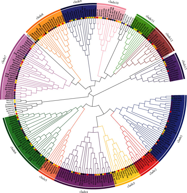 Recent Duplications Dominate VQ and WRKY Gene Expansions in Six <i>Prunus</i> Species.