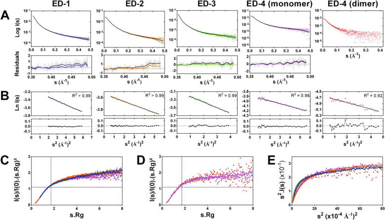 Extended disorder at the cell surface: The conformational landscape of the ectodomains of syndecans