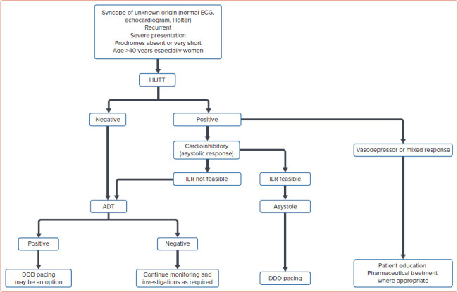 Is the Adenosine Test Obsolete in the Clinical Assessment of Syncope of Unknown Origin?