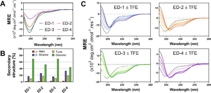 Extended disorder at the cell surface: The conformational landscape of the ectodomains of syndecans