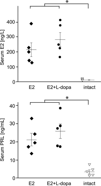 Effects of L-dopa on expression of prolactin and synaptotagmin IV in 17-beta-estradiol-induced prolactinomas of ovariectomized hemiparkinsonian rats.