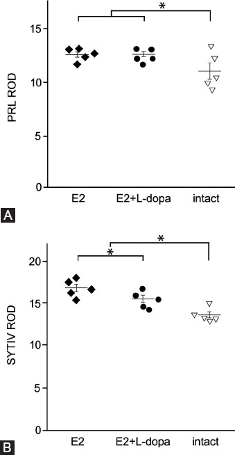 Effects of L-dopa on expression of prolactin and synaptotagmin IV in 17-beta-estradiol-induced prolactinomas of ovariectomized hemiparkinsonian rats.