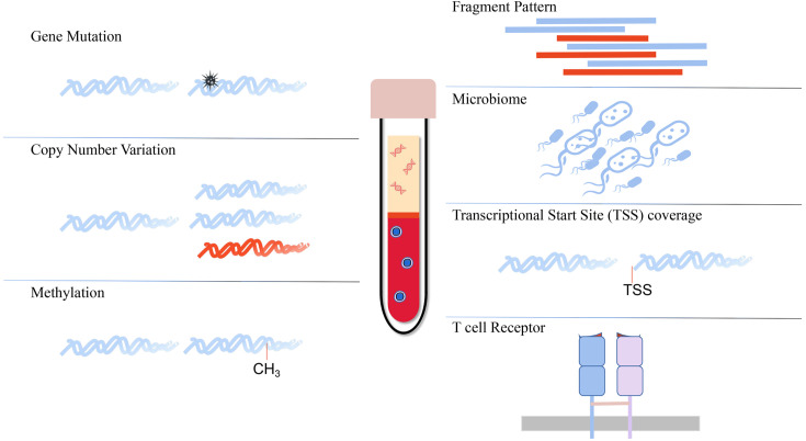 Novel technologies in cfDNA analysis and potential utility in clinic.